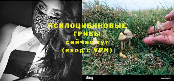 не бодяженный Семилуки