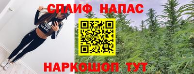 стаф Балахна