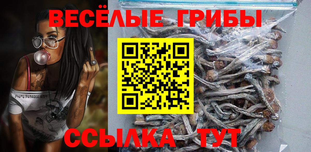 Галлюциногенные грибы Magic Shrooms Удомля